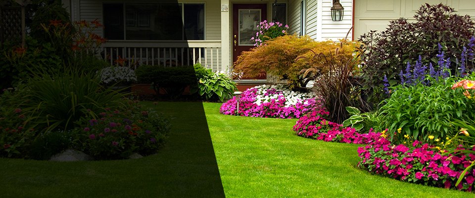 Rupert Landscapers