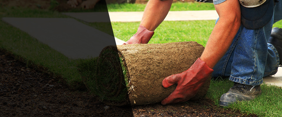 Rupert Landscapers